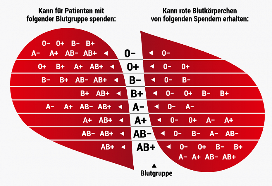 Blutgruppe vater mutter positiv kind negativ