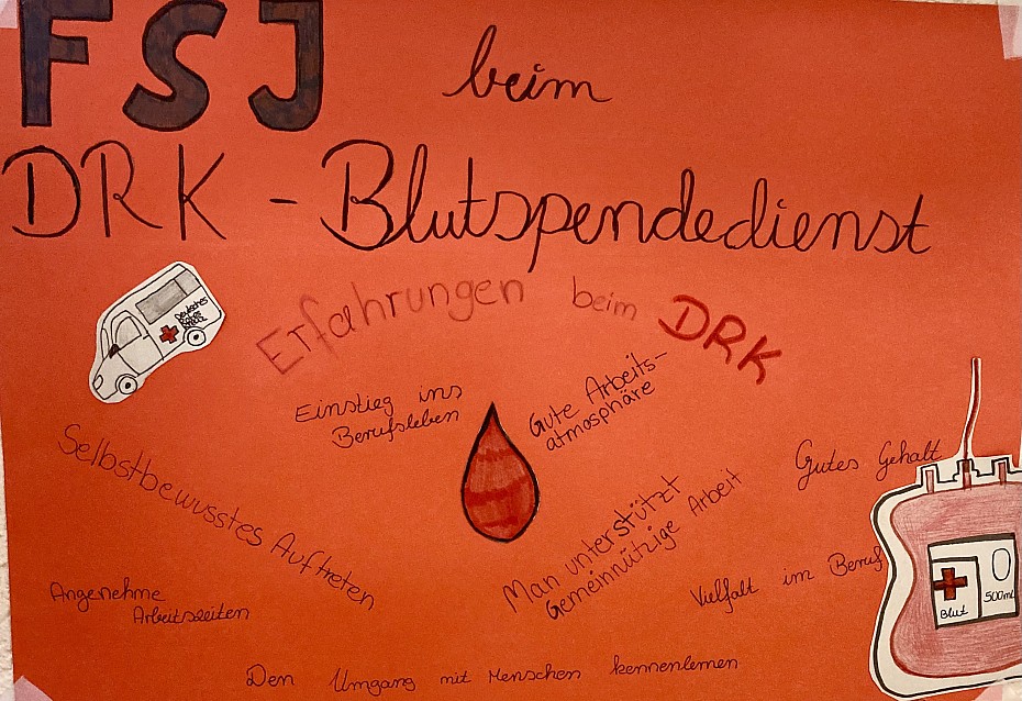 Was den FSJlerInnen wichtig ist: Dieses Plakat ziert eine der Wände im Treppenhaus des DRK-Blutspendedienstes in Schleswig