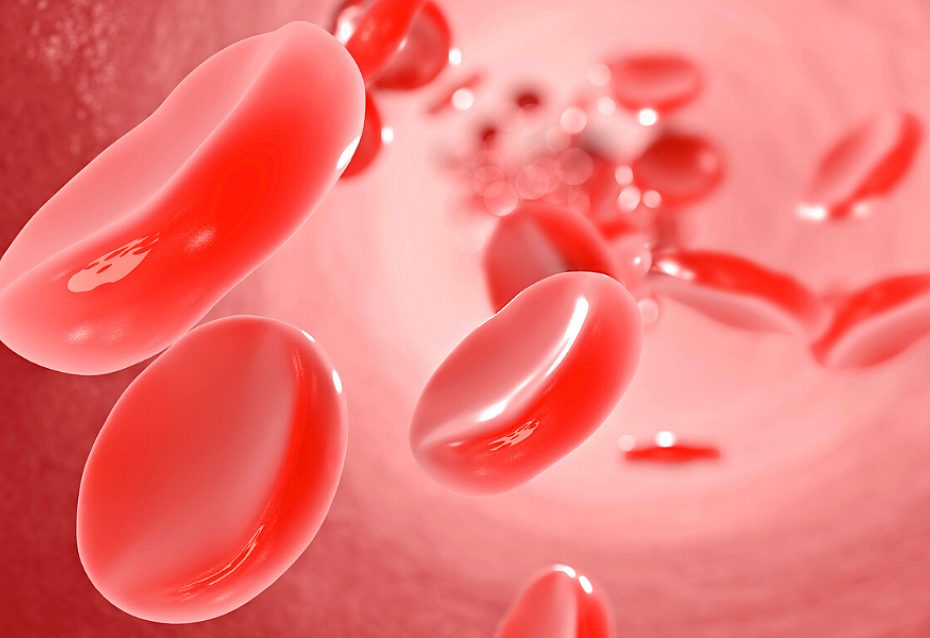 Wissenschaft - Grafik Erythrozyten im menschlichen Körper