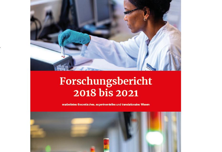 Download Forschungsbericht