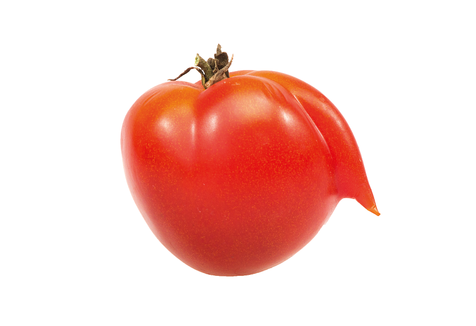 Tomate mit Nase Tomate mit Nase