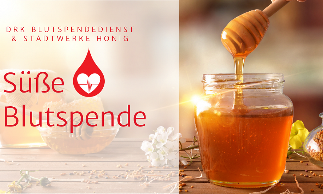 Süße Blutspende im Erzgebirge