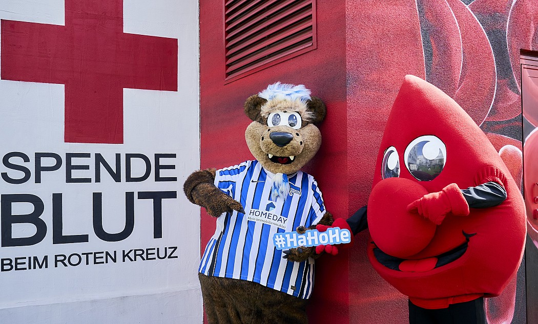 Herthinho und Tröpfli #GemeinsamHertha