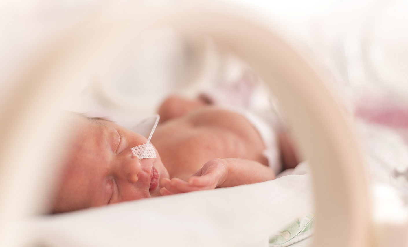 Empfänger von Frauenmilch: Neugeborene