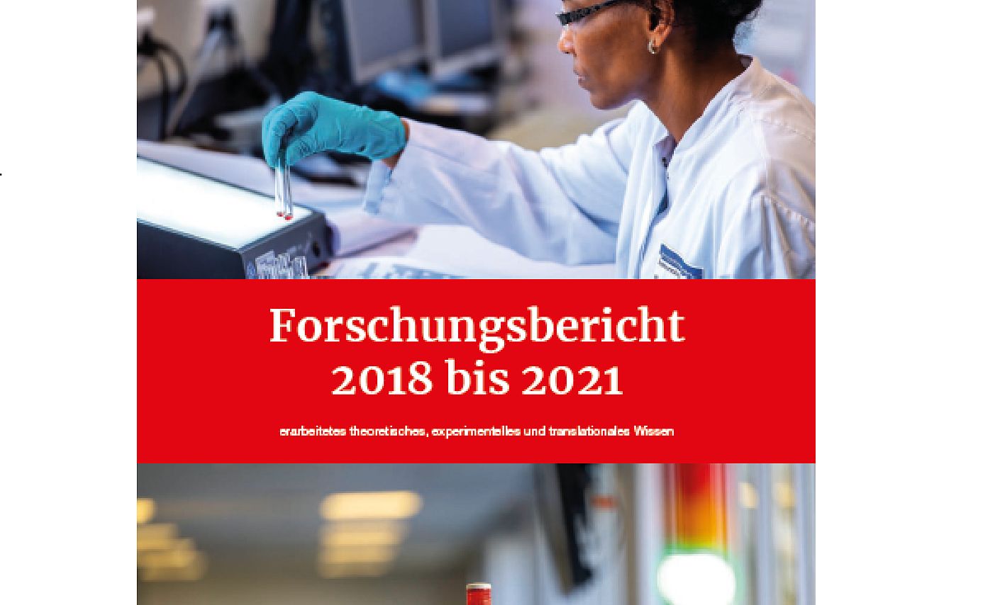 Download Forschungsbericht