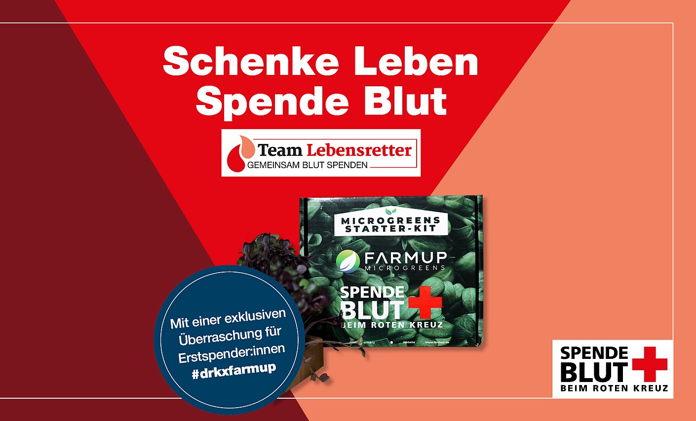 Erstspenderaktion Blutspende Microgreens