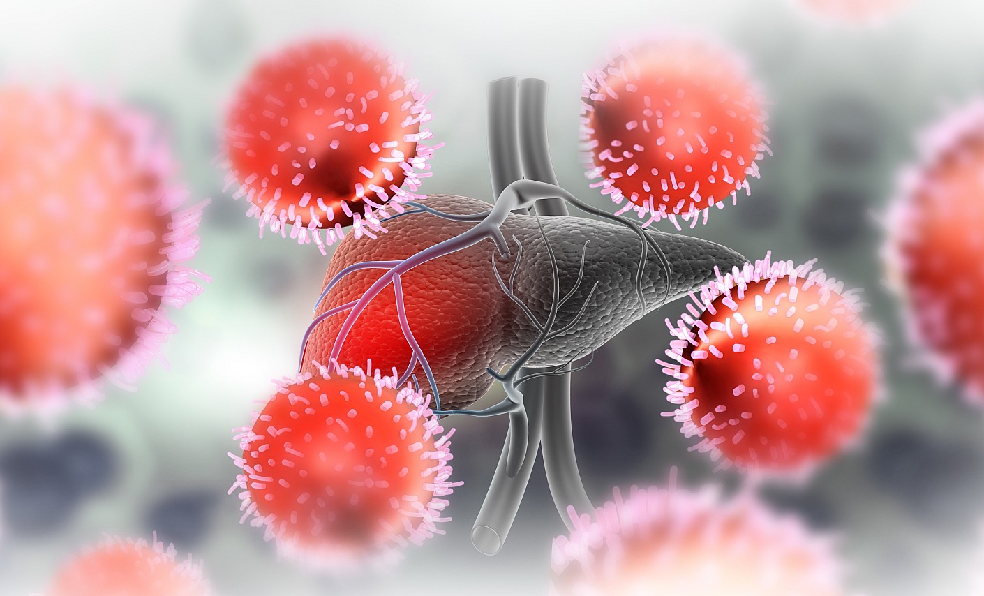 Hepatitis Viren an der menschlichen Leber hepatitis-virus-viren-leber