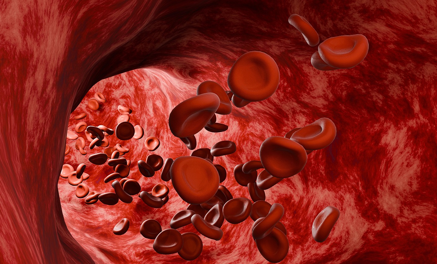 illustration-rot-rote blutkörperchen-erythrozyten