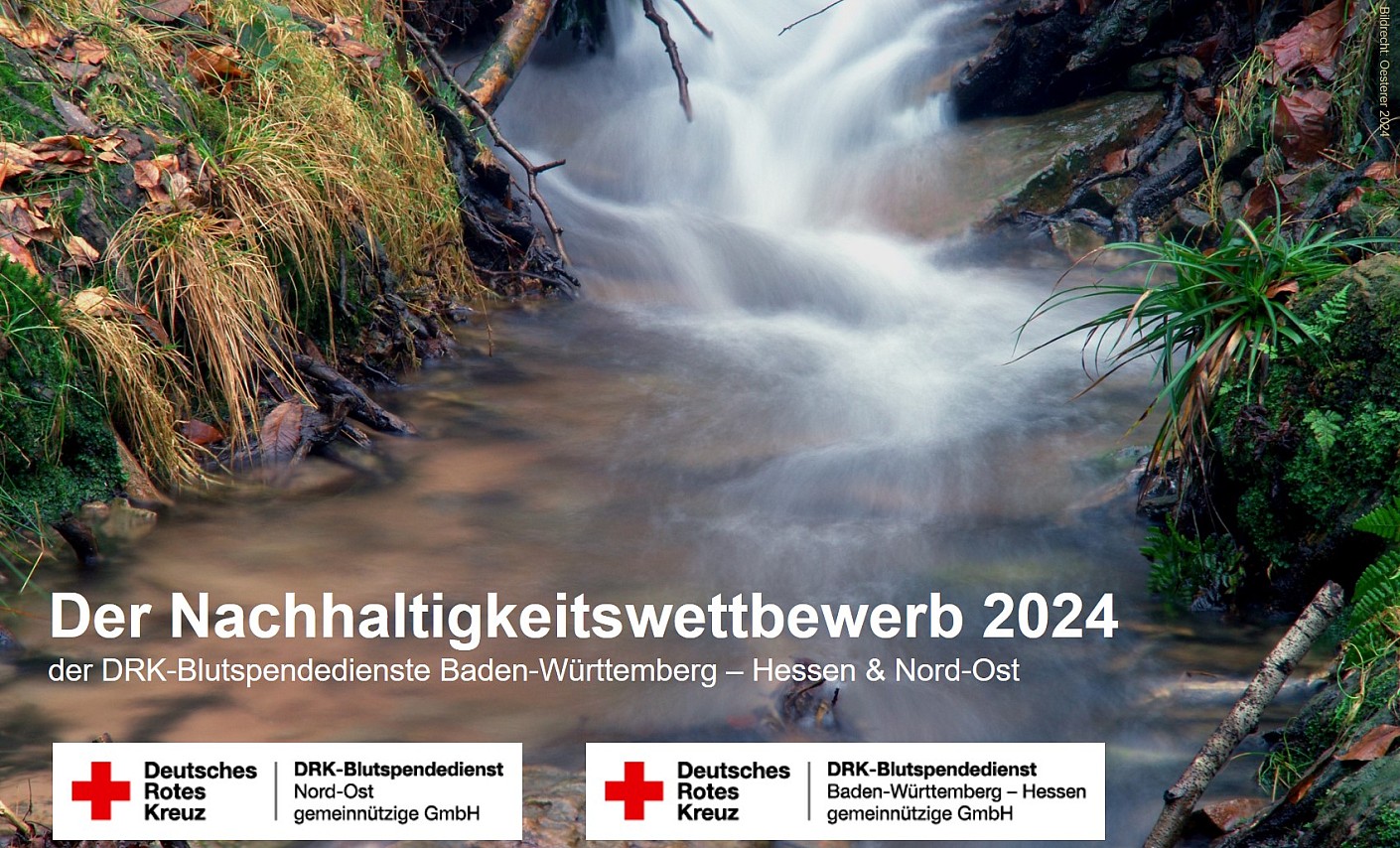 Unsere Mitarbeitenden wurden aufgefordert, "grüne" Ideen einzureichen plakat-logo-nachhaltigkeitswettbewerb-natur-fluss