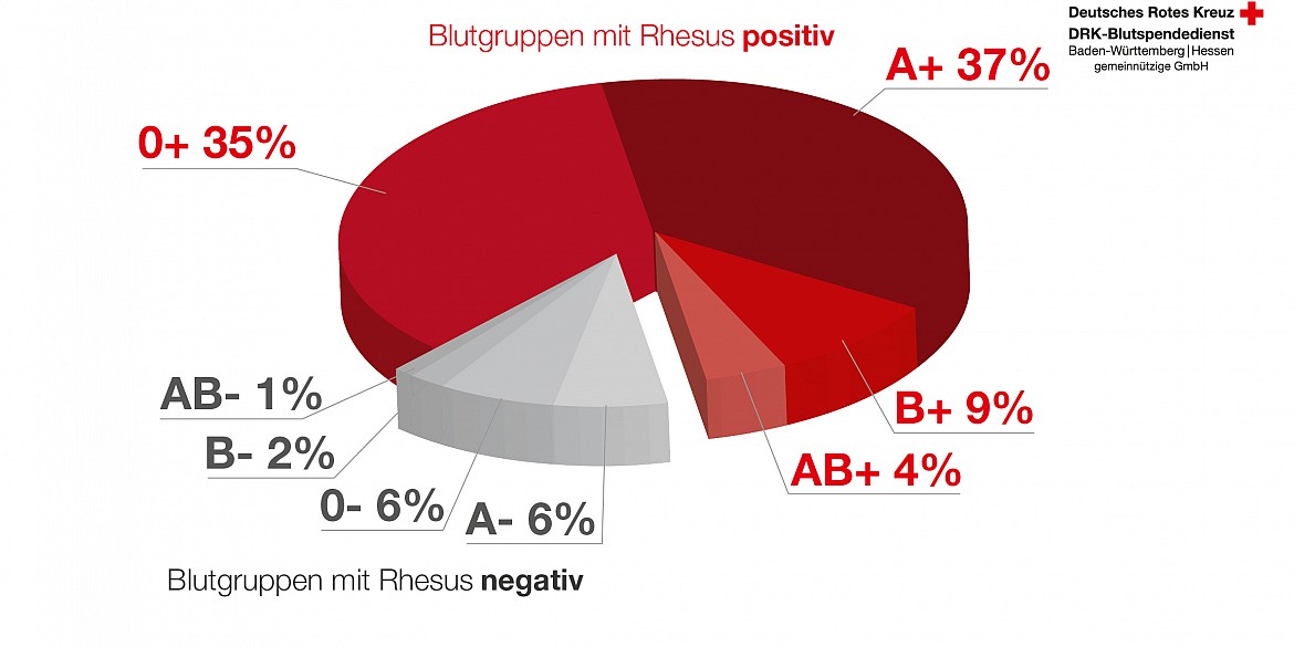 BlutgruppenVerteilung und ihre Bedeutung fürs Blutspenden DRK BlutspendeMagazin BlutgruppenVerteilung und ihre Bedeutung fürs Blutspenden DRK BlutspendeMagazin