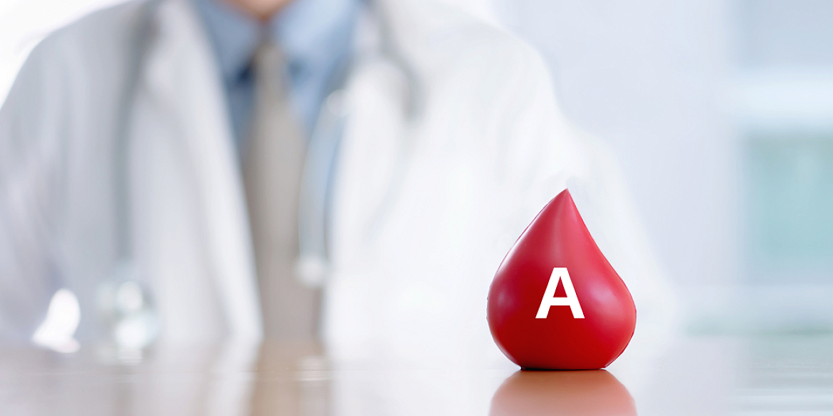 Blutgruppe A ist die häufigste Blutgruppe in Deutschland