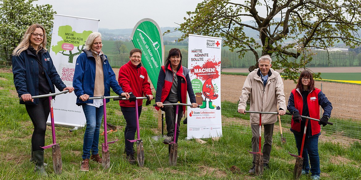 Baumpflanzaktion in Haselbachtal-Gersdorf gruppe-gruppenbild-wald-bäume-pflanzen