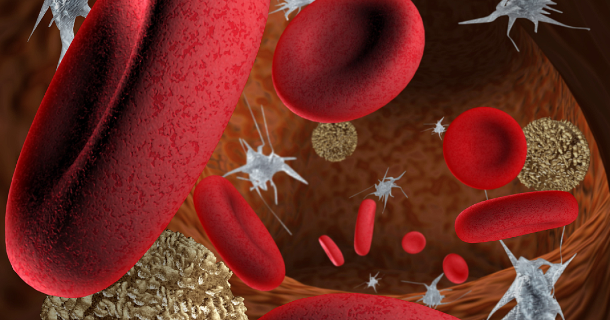 Blutbestandteile und ihre Aufgaben | DRK Blutspende-Magazin