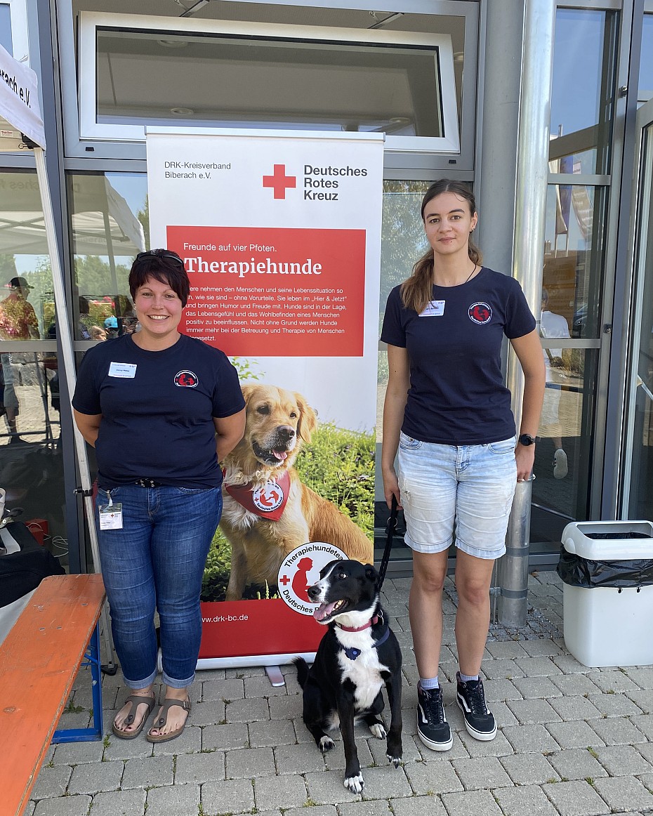 gruppe-hund-therapiehund-außen