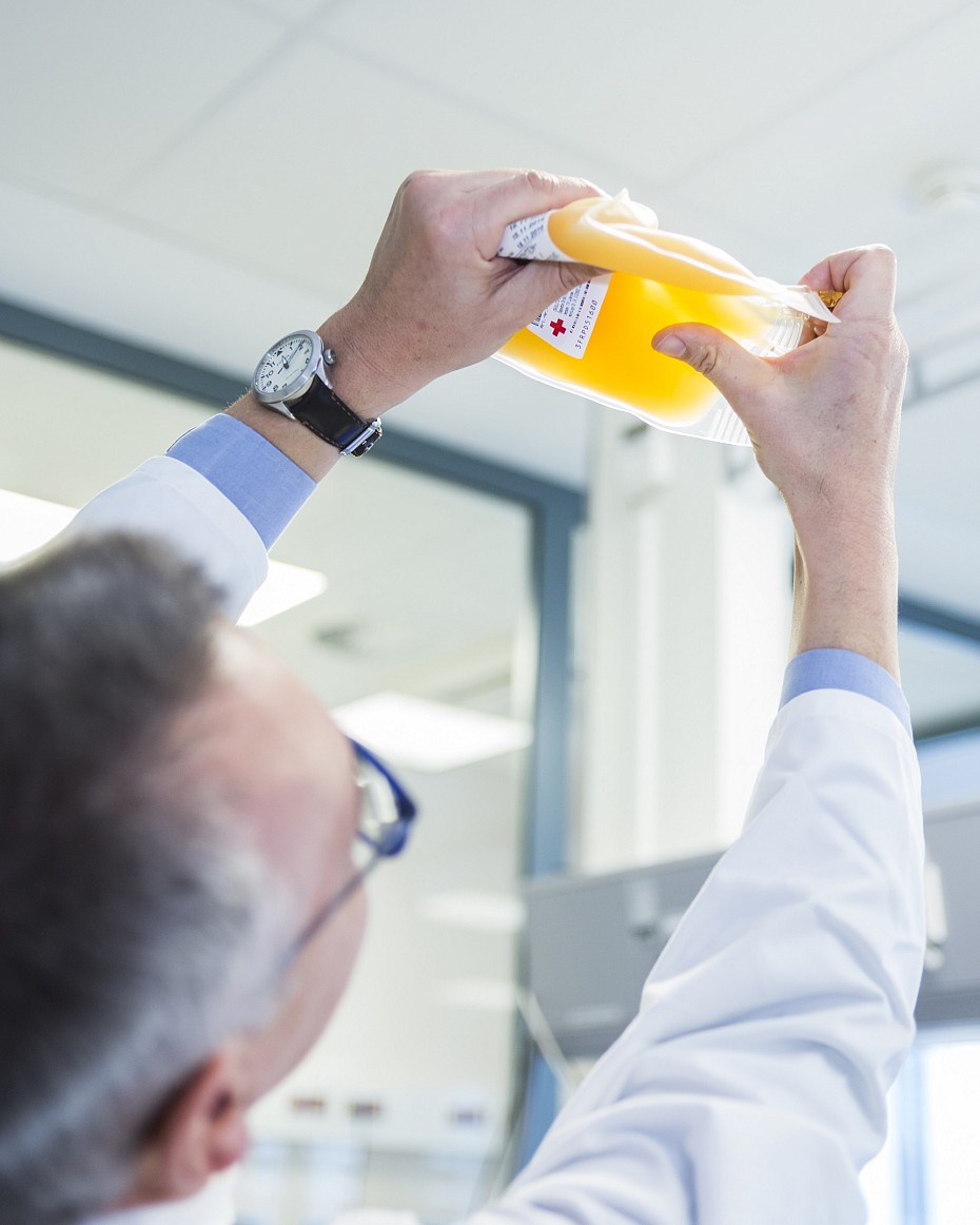 thrombozytenkonzentrat-thrombozyten-blutplättchen-präparat