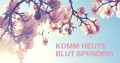 Spende Blut Banner Frühling