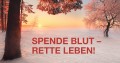 Banner_für_Februar_Termine