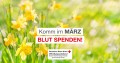 März_Blutspendebanner