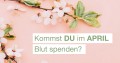 Aufruf zum Blutspenden im April