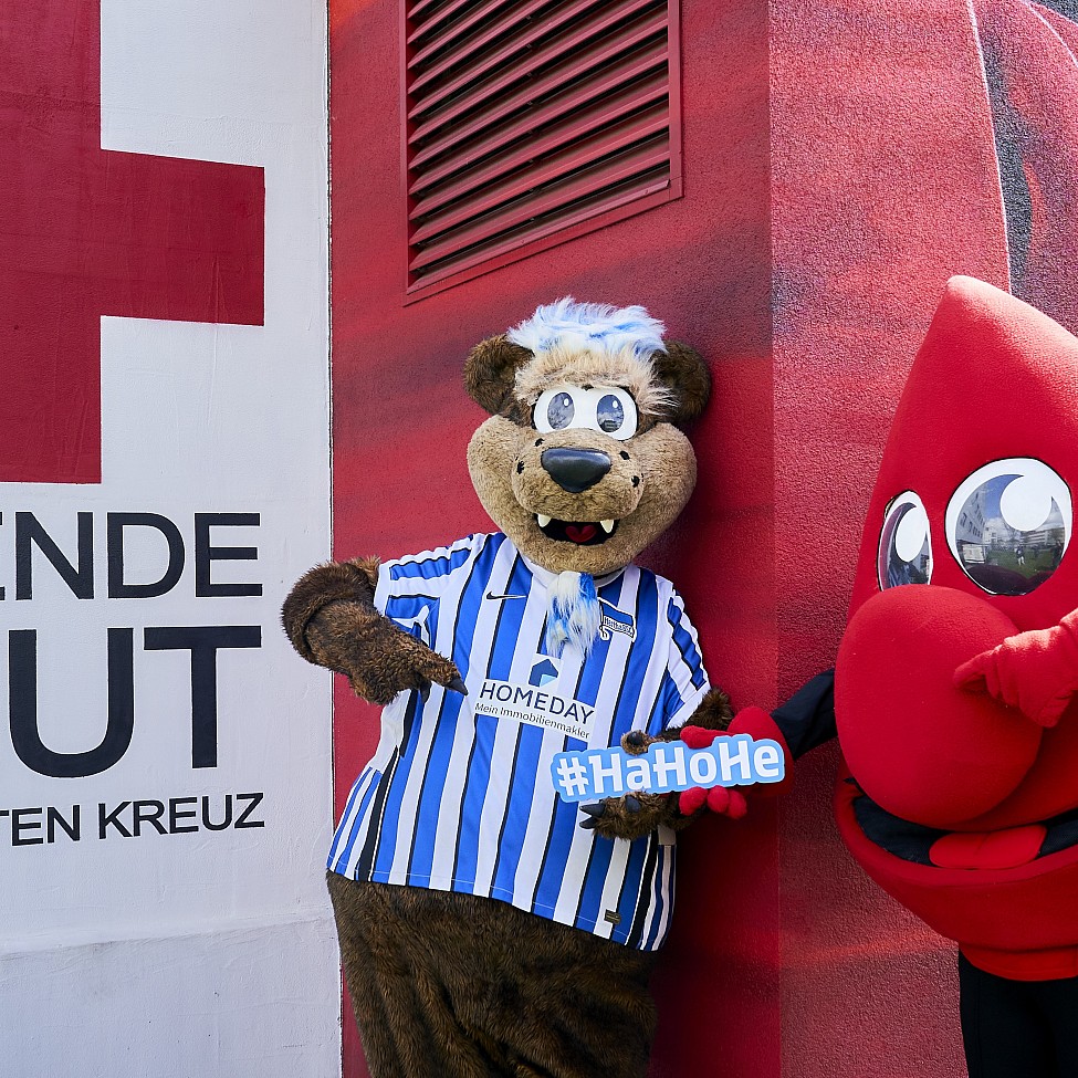 Herthinho und Tröpfli #GemeinsamHertha