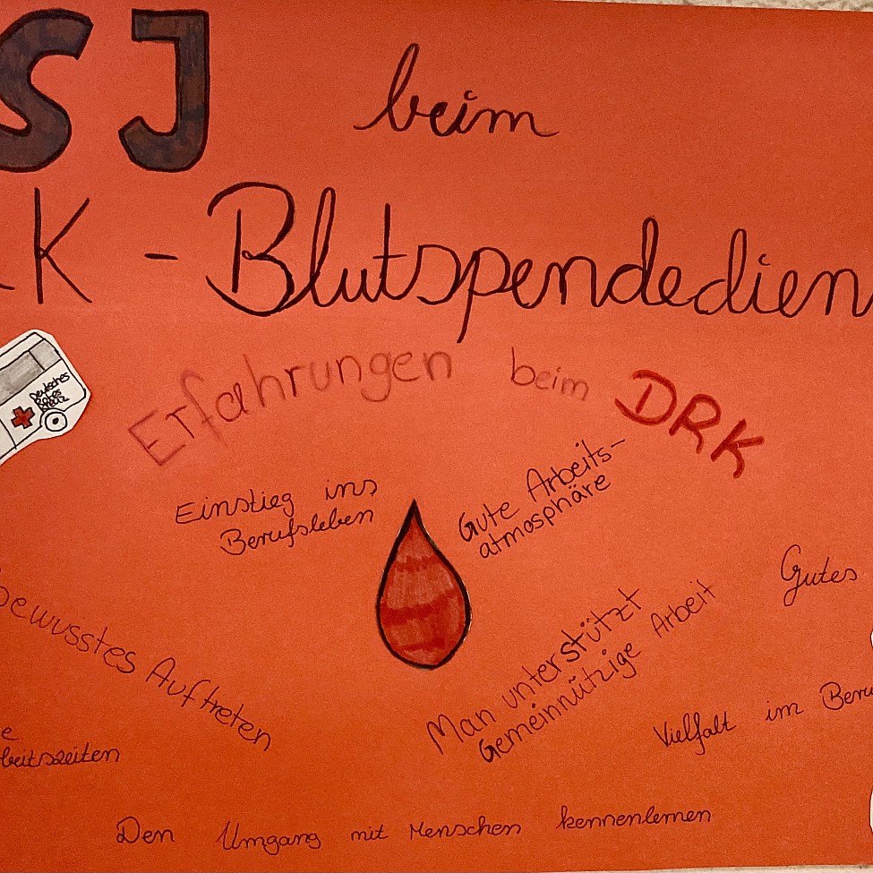 Was den FSJlerInnen wichtig ist: Dieses Plakat ziert eine der Wände im Treppenhaus des DRK-Blutspendedienstes in Schleswig