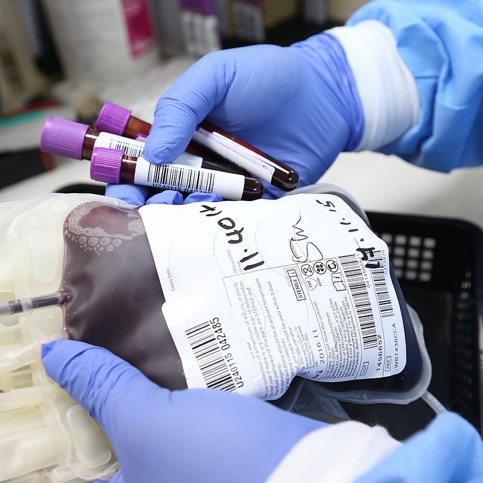 Ist Blut spenden gesund?