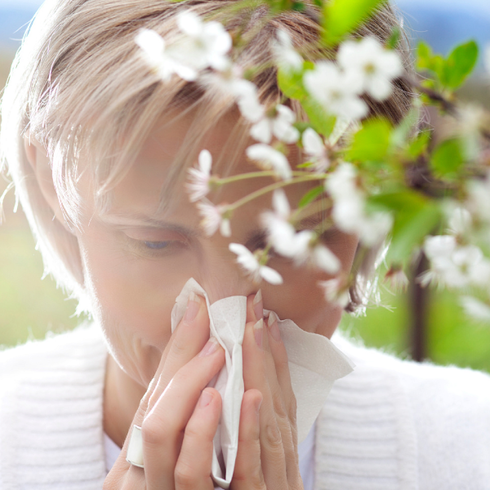 Frau putzt sich mit Taschentuch die Nase und ist auf dem Weg zur Blutspende trotz Allergie