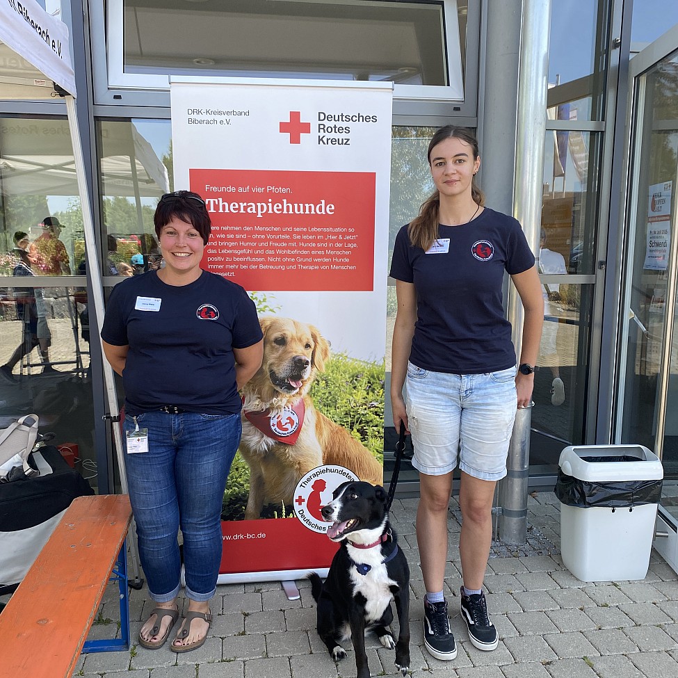 gruppe-hund-therapiehund-außen