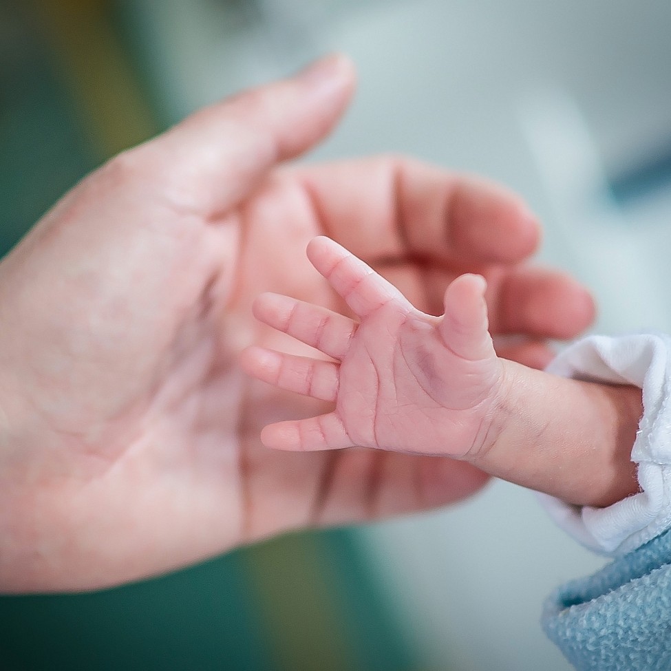 hand-hände-baby-erwachsener-weltfrühchentag